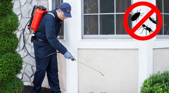 Taşkent Karınca İlaçlama böcek ilaçlama ve haşere kontrolü — ilaclama-tr.com
